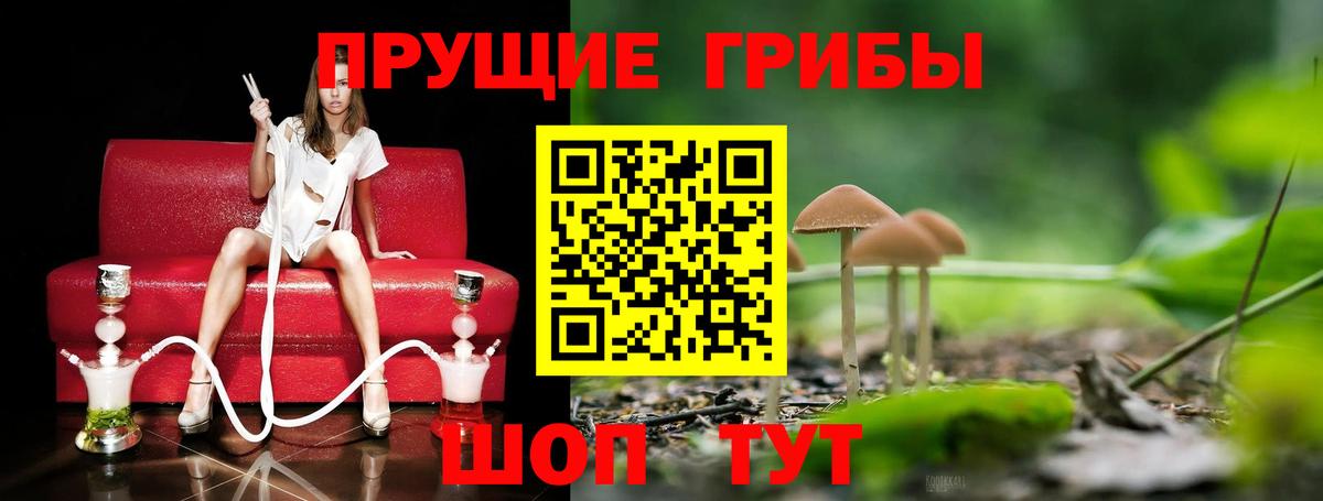 Галлюциногенные грибы Magic Shrooms  Псилоцибиновые грибы MAGIC MUSHROOMS  Грозный  Вход с VPN 